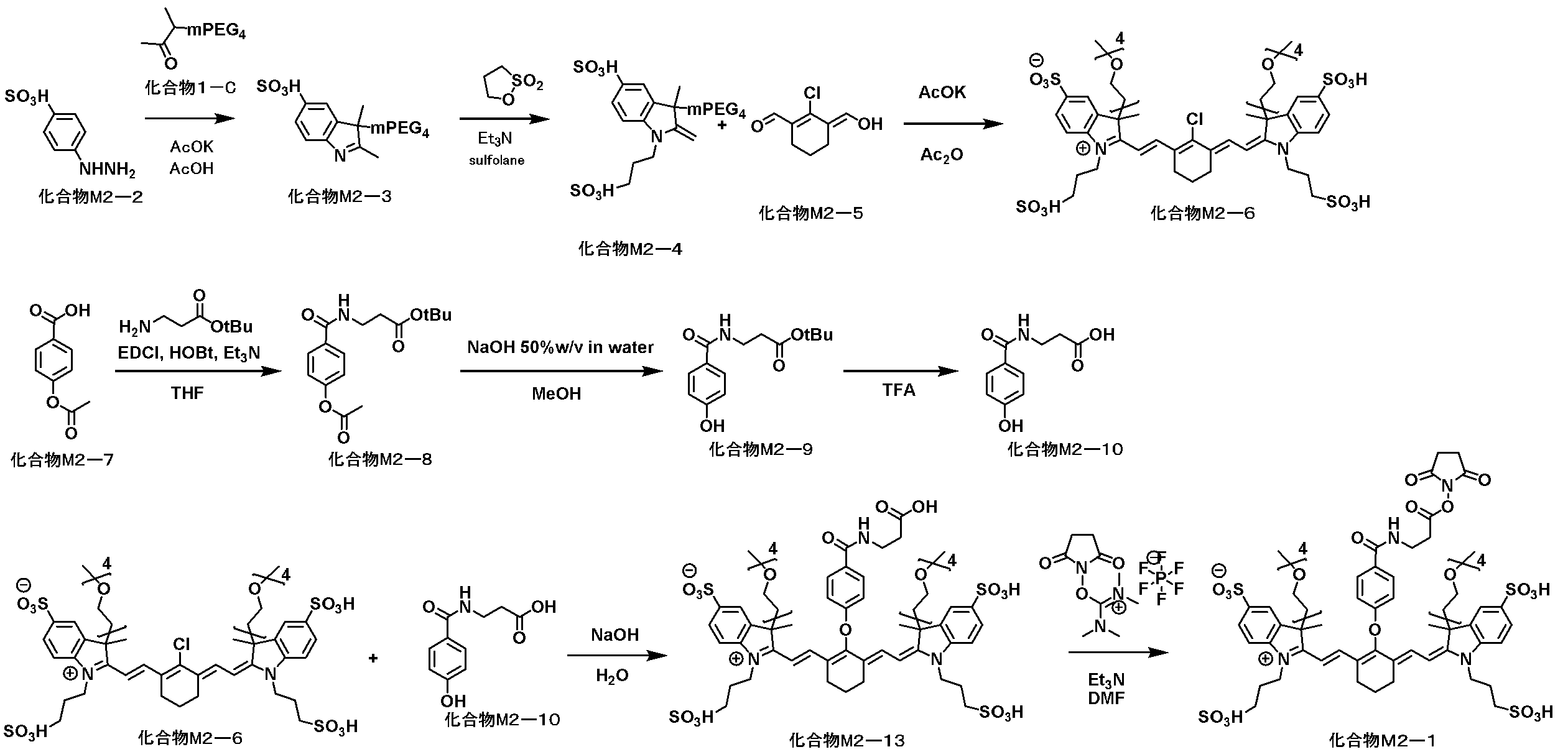 Figure JPOXMLDOC01-appb-C000029