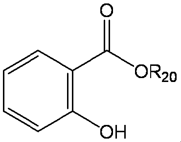 Figure JPOXMLDOC01-appb-C000021