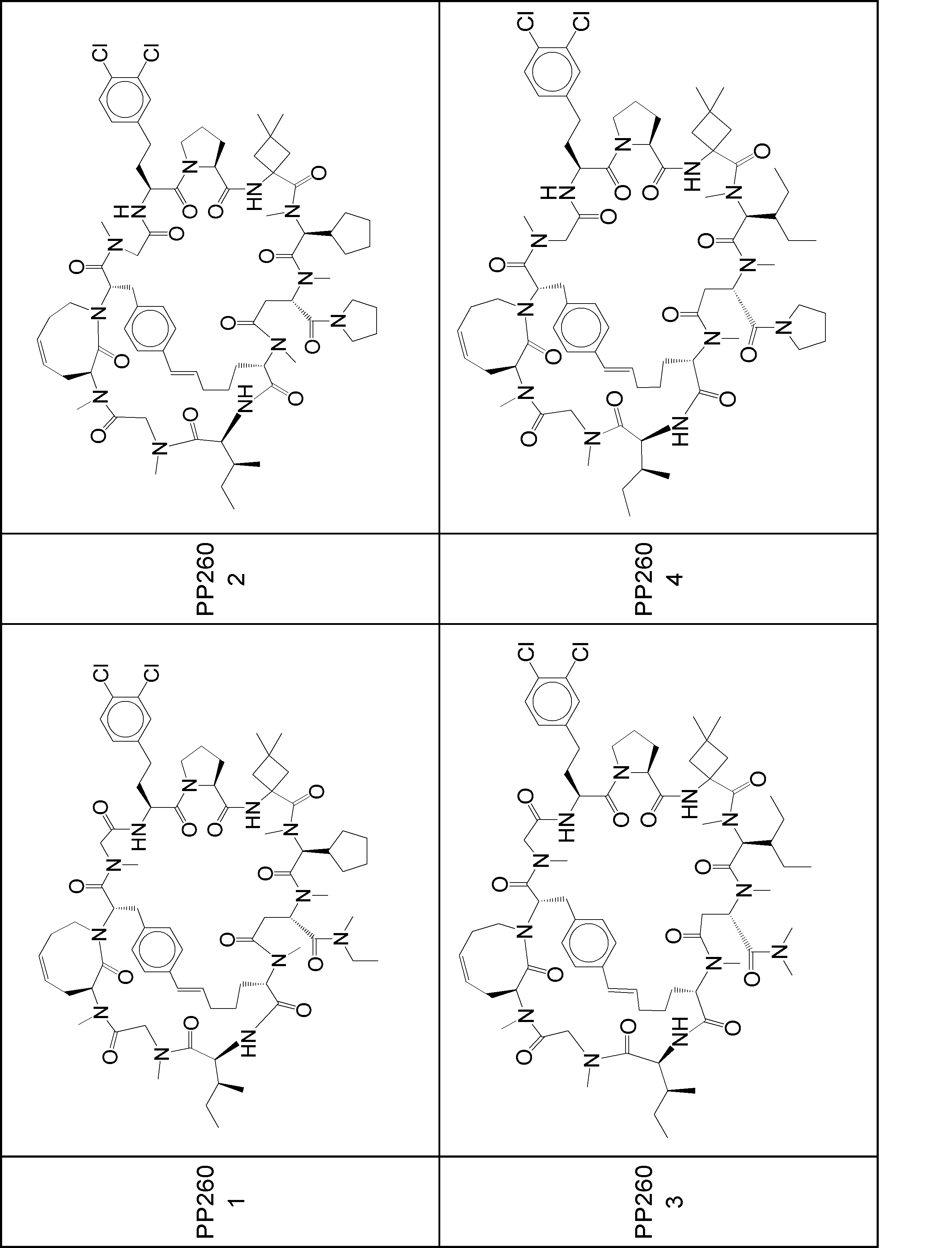 Figure JPOXMLDOC01-appb-I001106
