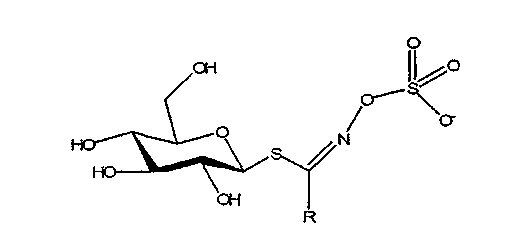 Evrica prostatitis
