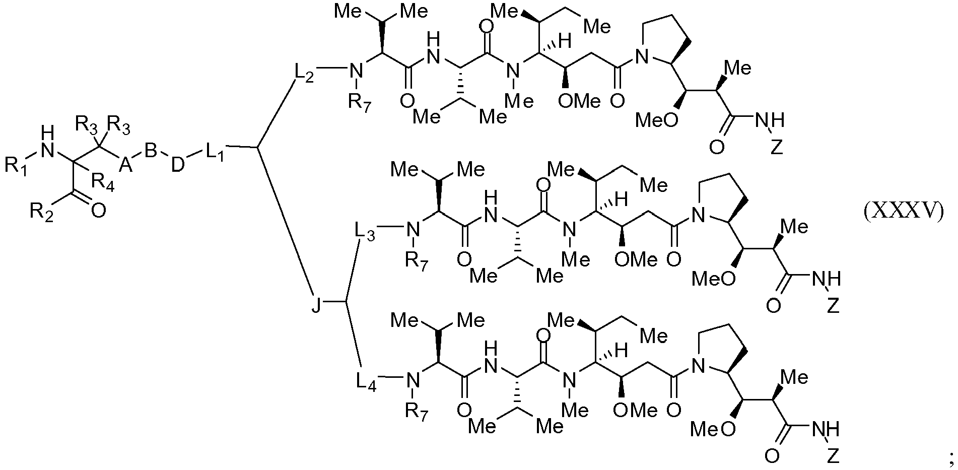 Figure imgb0196