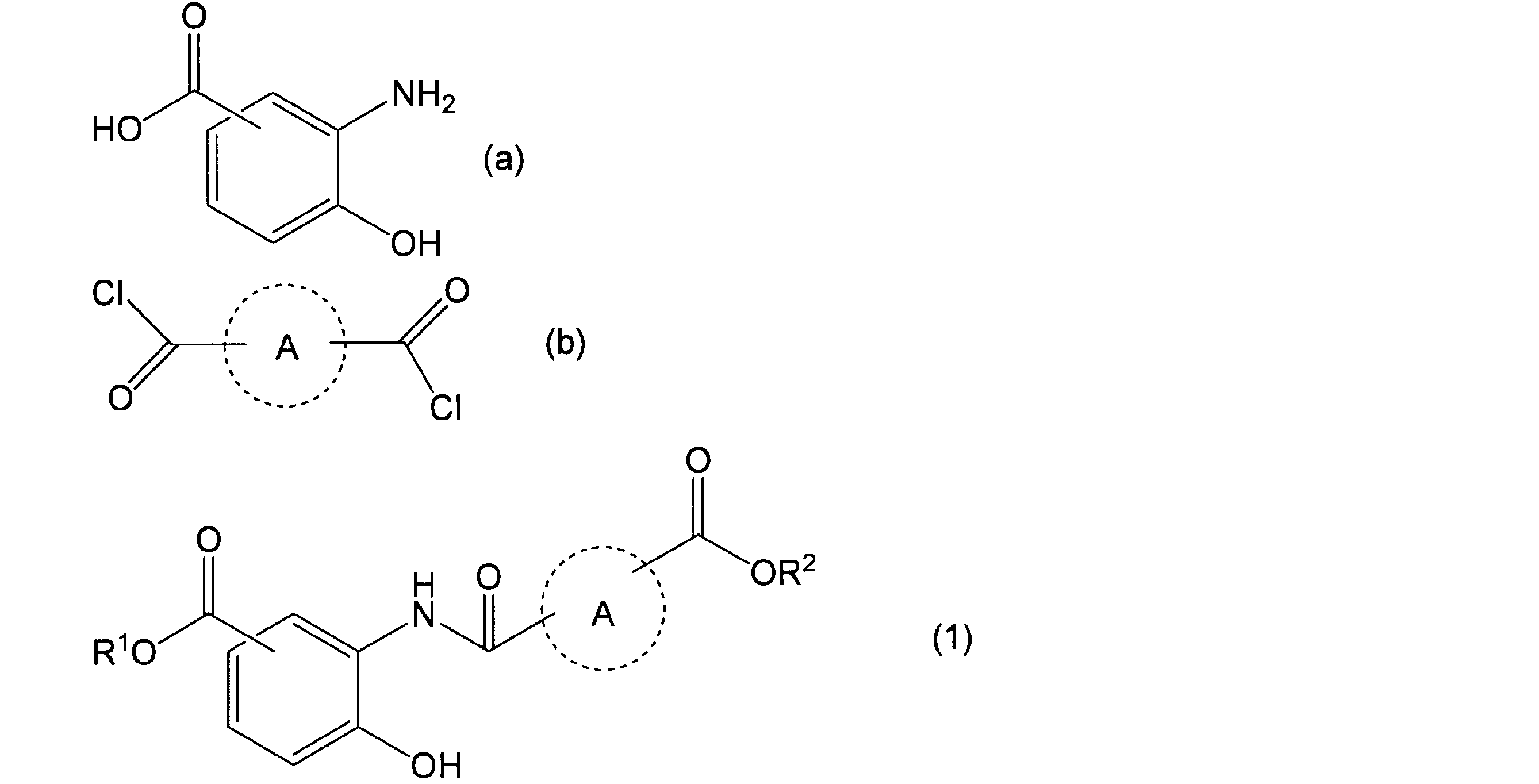 Figure JPOXMLDOC01-appb-C000013