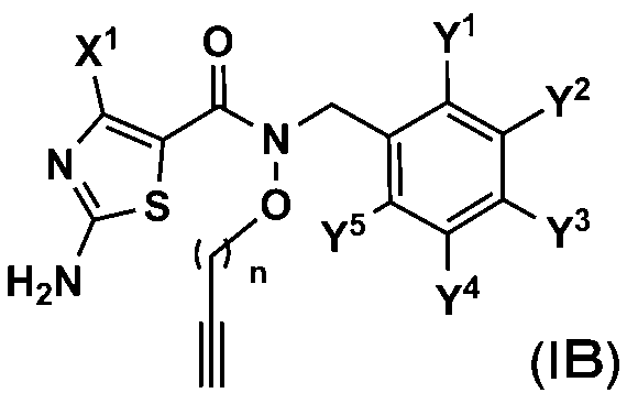 Figure JPOXMLDOC01-appb-C000010