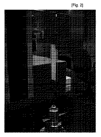 Figure 2010517811