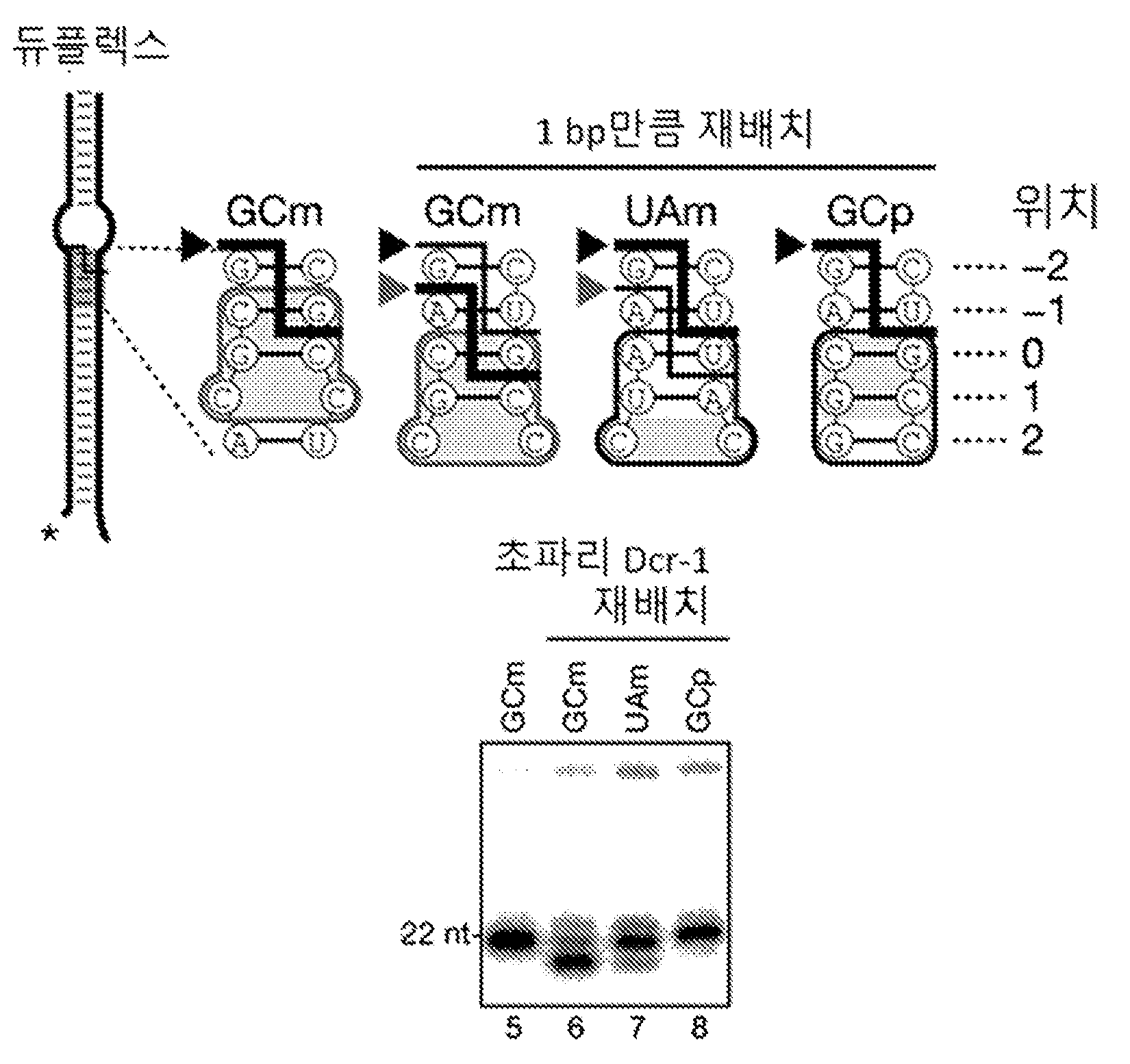 특허 도면 64