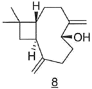 Figure imgb0077