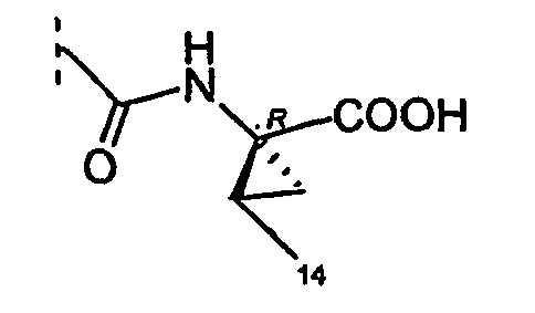 Figure imgb0010