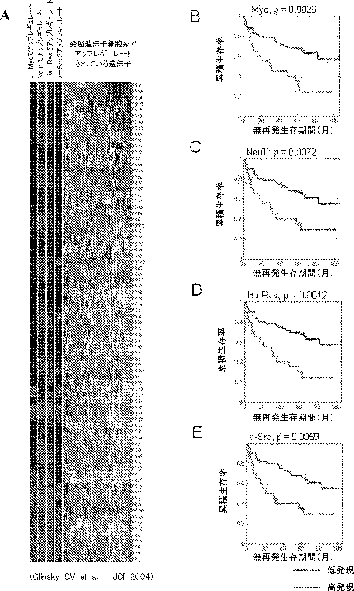 Jp2014518610a 前立腺癌細胞系 遺伝子シグネチャー及びその使用 Google Patents