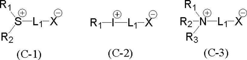 Figure JPOXMLDOC01-appb-C000024