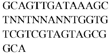 Figure imgb0285