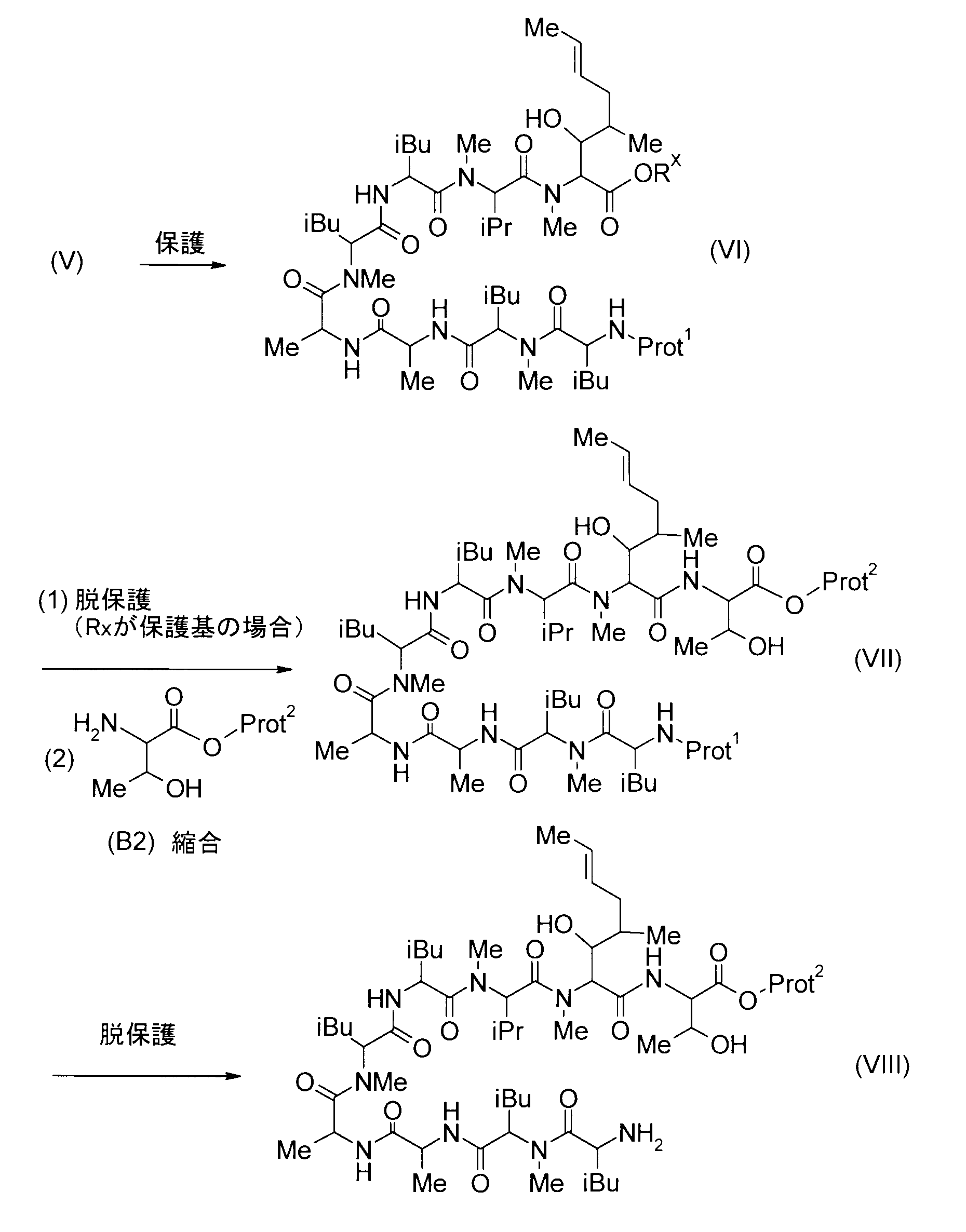 Figure JPOXMLDOC01-appb-C000034