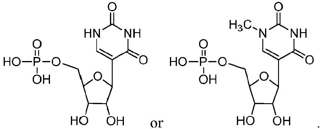 Figure imgb0019