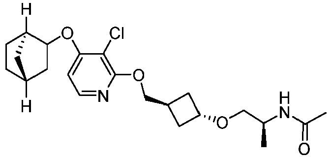 Figure imgb0496