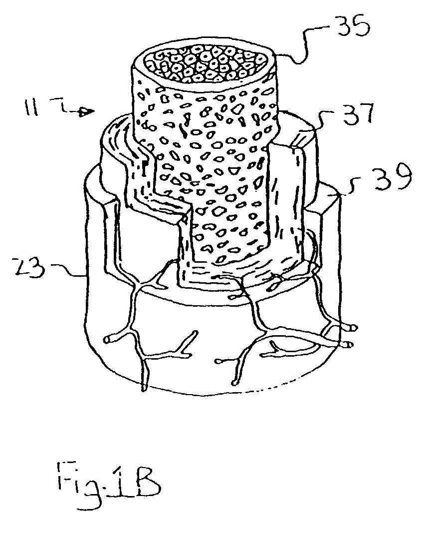Figure 00000002