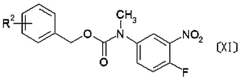 Figure JPOXMLDOC01-appb-C000029