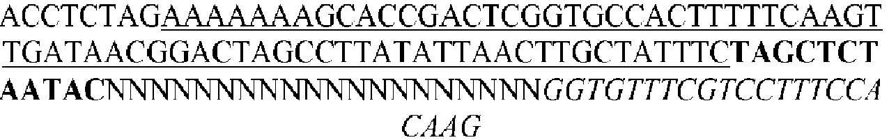 Figure imgb0071