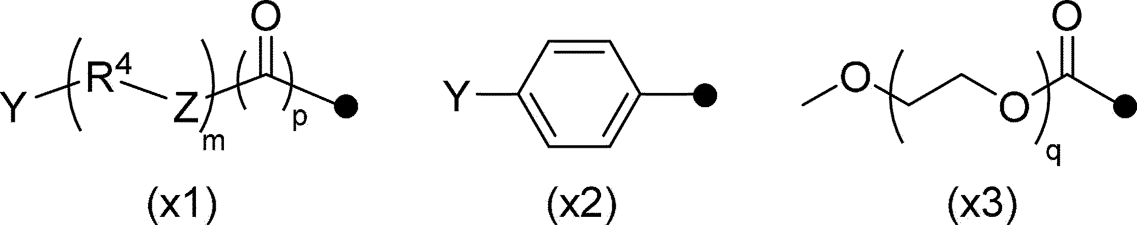 Figure JPOXMLDOC01-appb-C000003