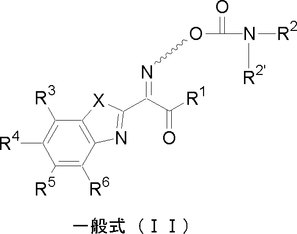 Figure JPOXMLDOC01-appb-C000005