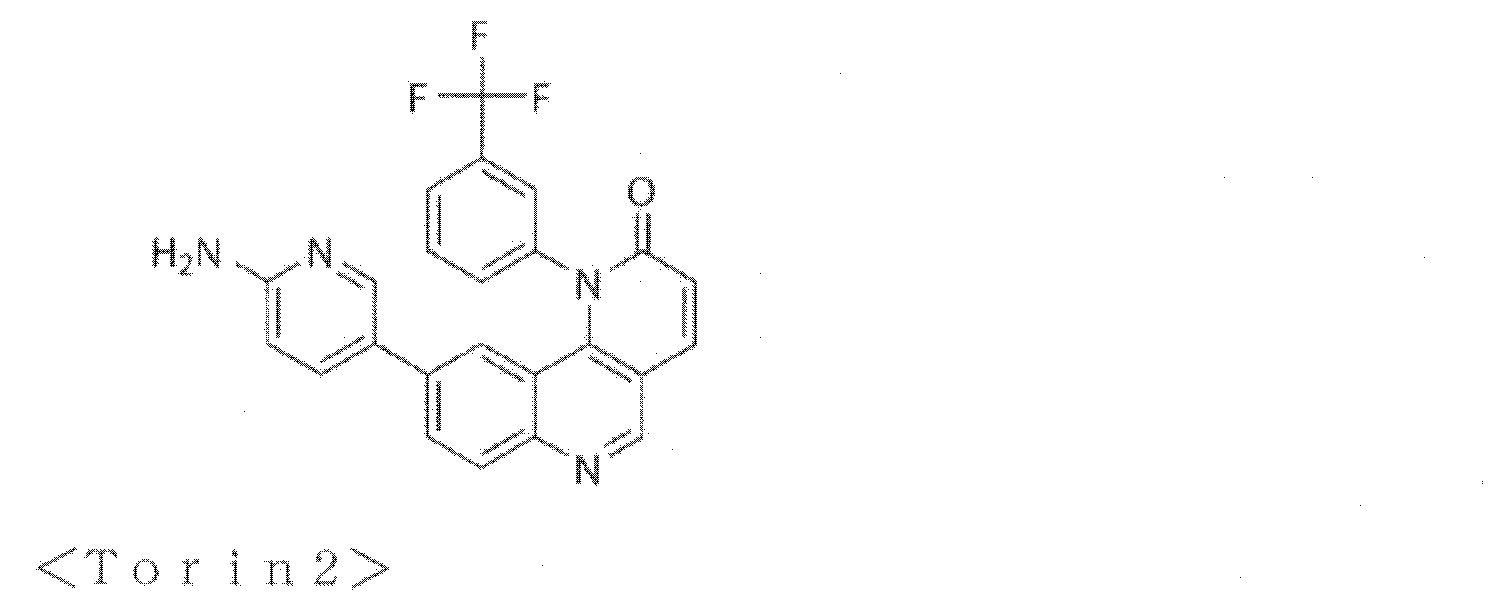 Figure JPOXMLDOC01-appb-C000024