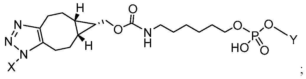 Figure imgf000020_0005