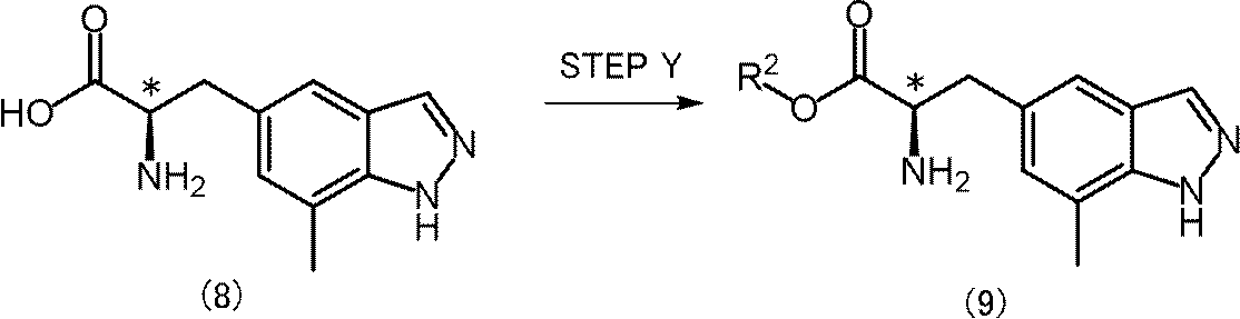 Figure JPOXMLDOC01-appb-C000026