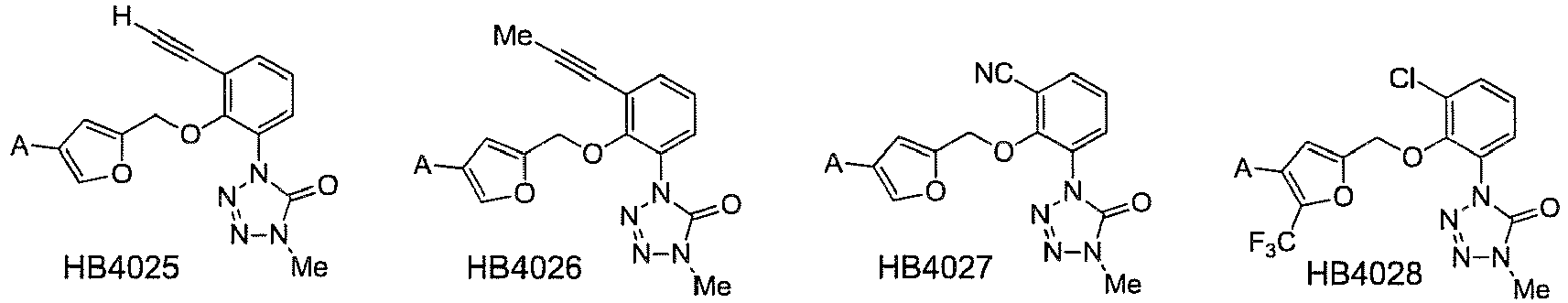 Figure imgb0171