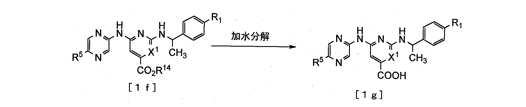 Figure JPOXMLDOC01-appb-C000064