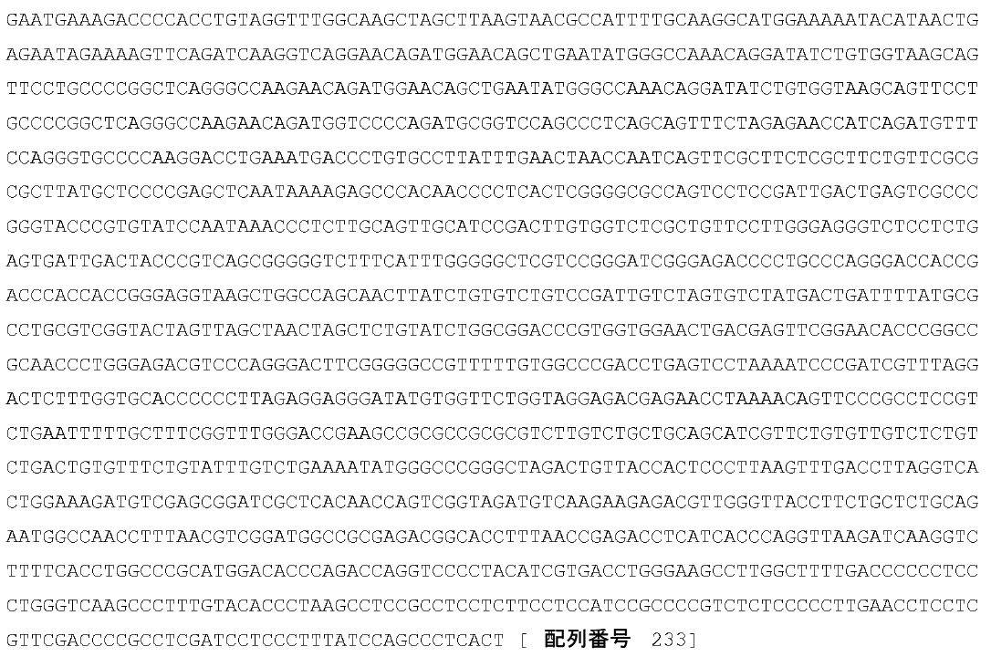 Figure 0006997620000076