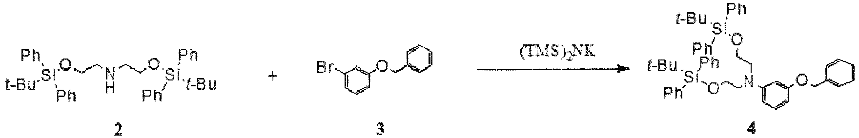 Figure imgb0010