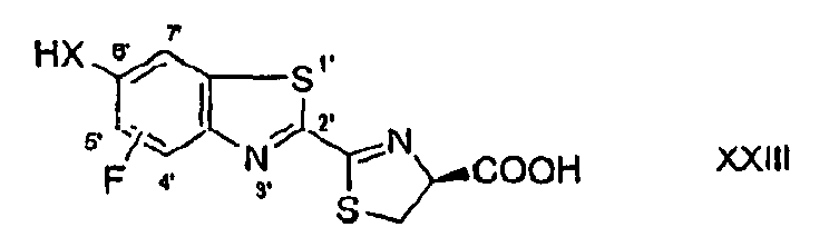 Figure imgb0024