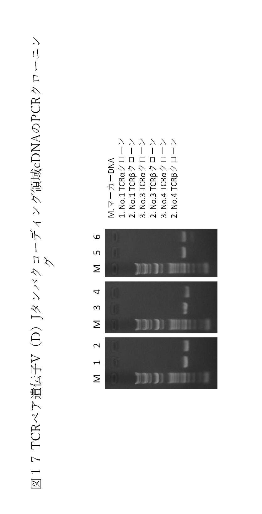 google patents