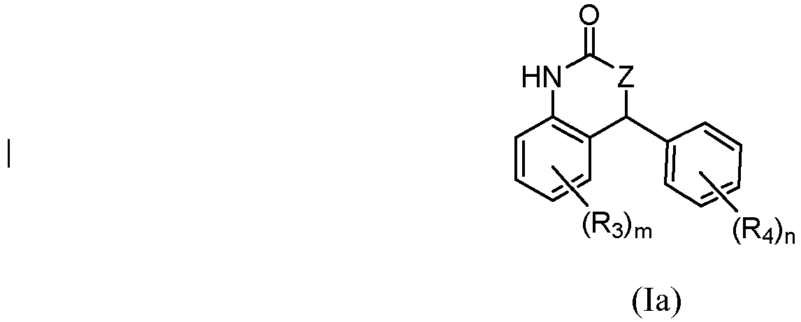 Figure imgb0010