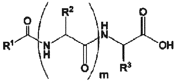 Figure imgb0016