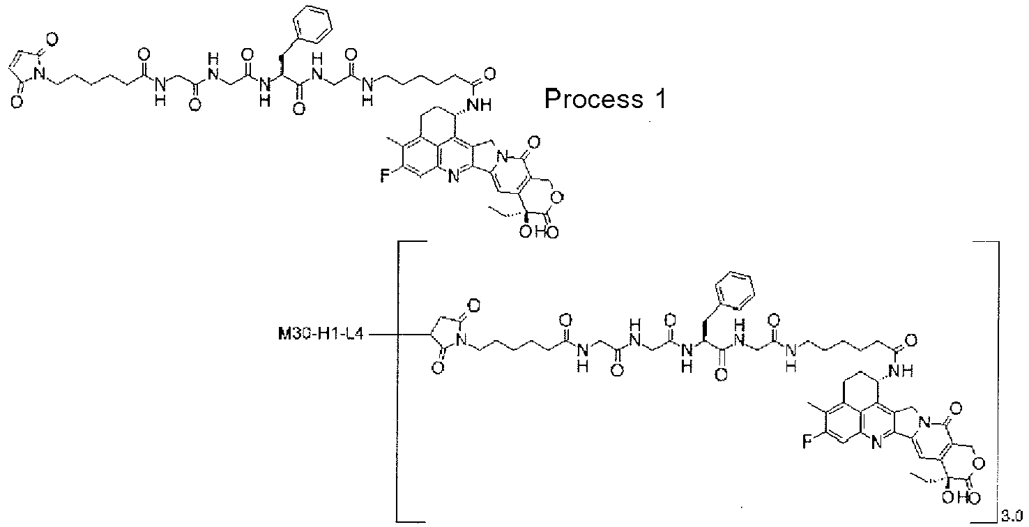 Figure imgb0146