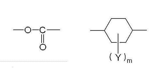 Figure JPOXMLDOC01-appb-C000009