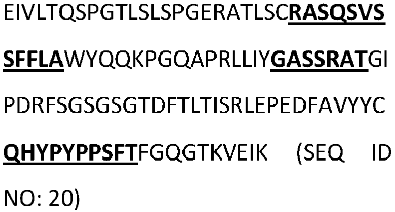 Figure imgb0145