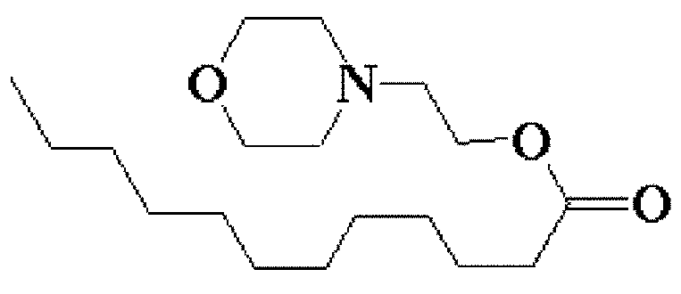 Figure pat00062