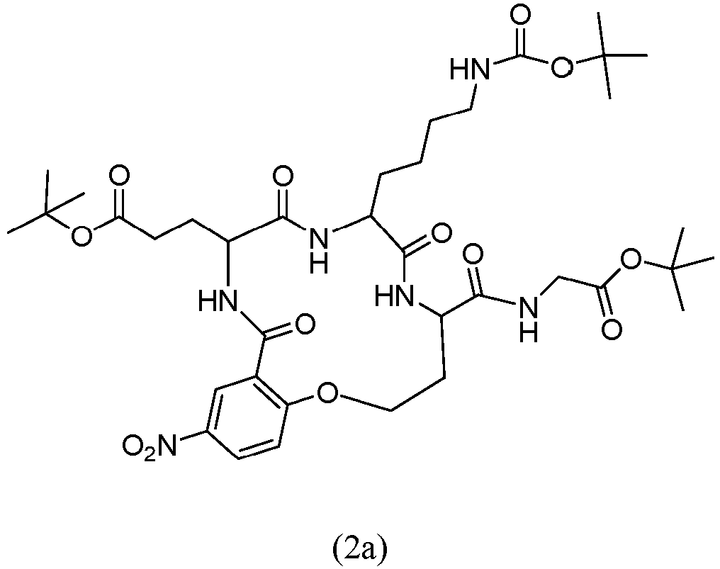 Figure imgb0024