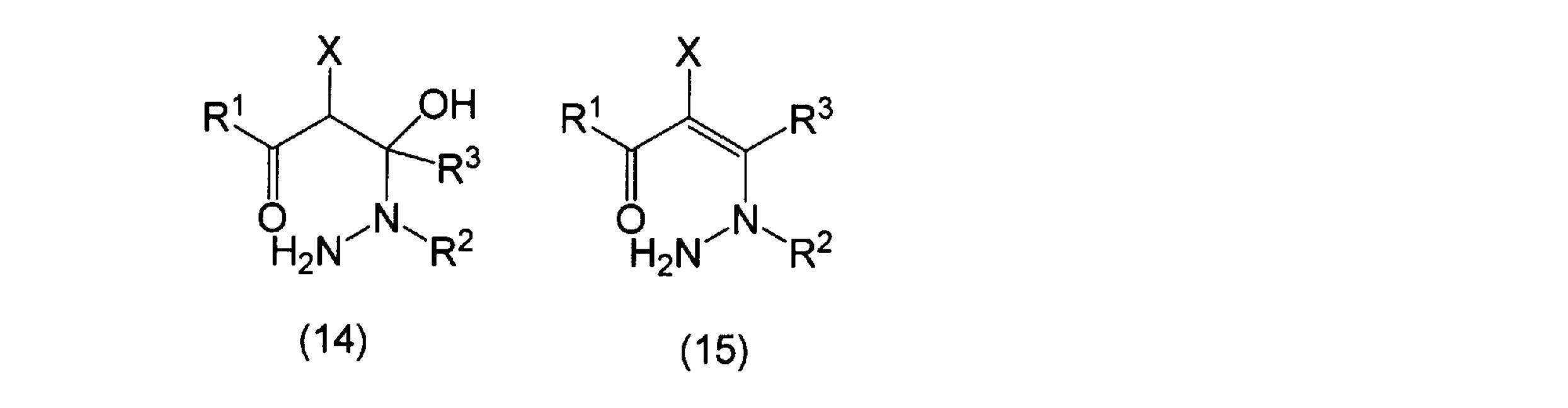 Figure JPOXMLDOC01-appb-C000007