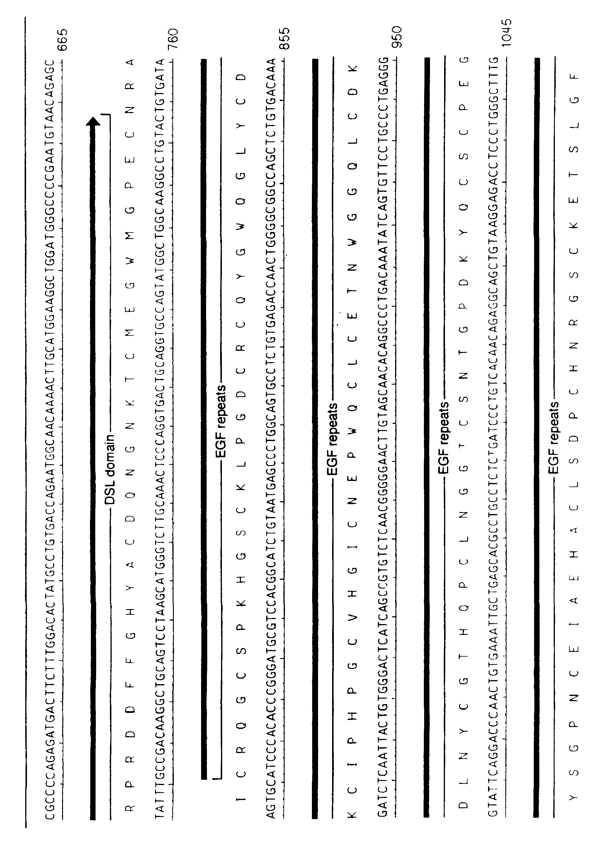 Figure imgf000057_0001