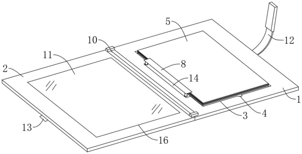 Figure 202020504413