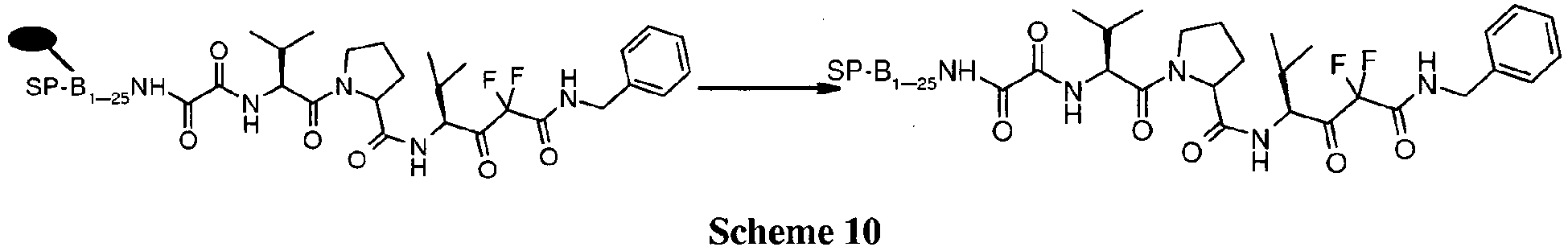 Figure imgb0010