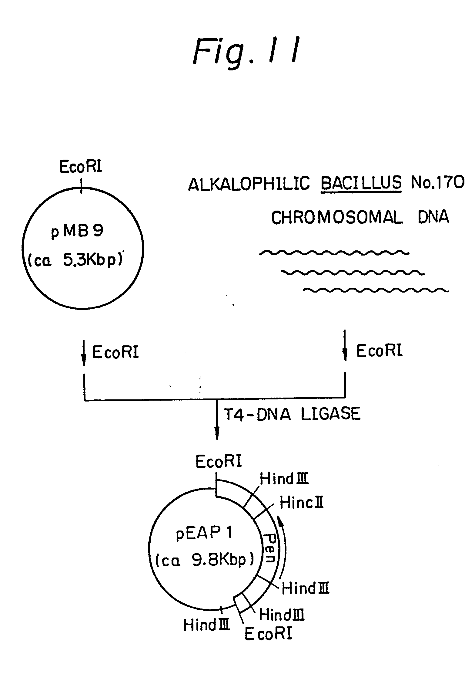 google patents