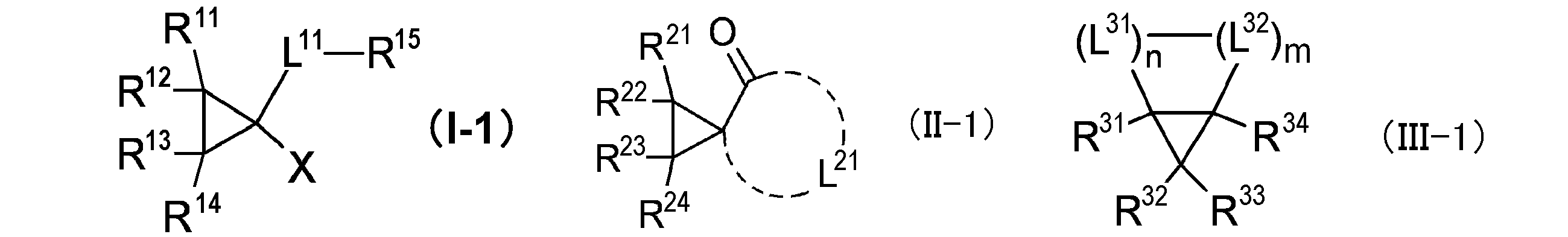 Figure JPOXMLDOC01-appb-C000004