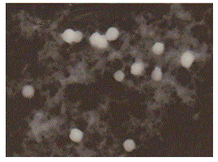 Figure 201210149414
