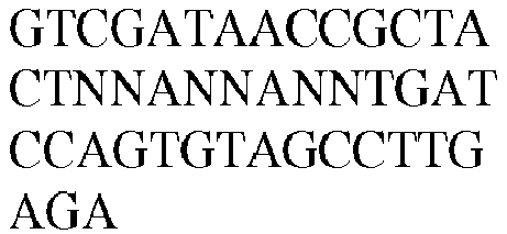 Figure imgb0096