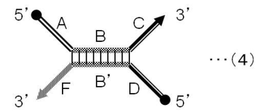Figure JPOXMLDOC01-appb-C000004