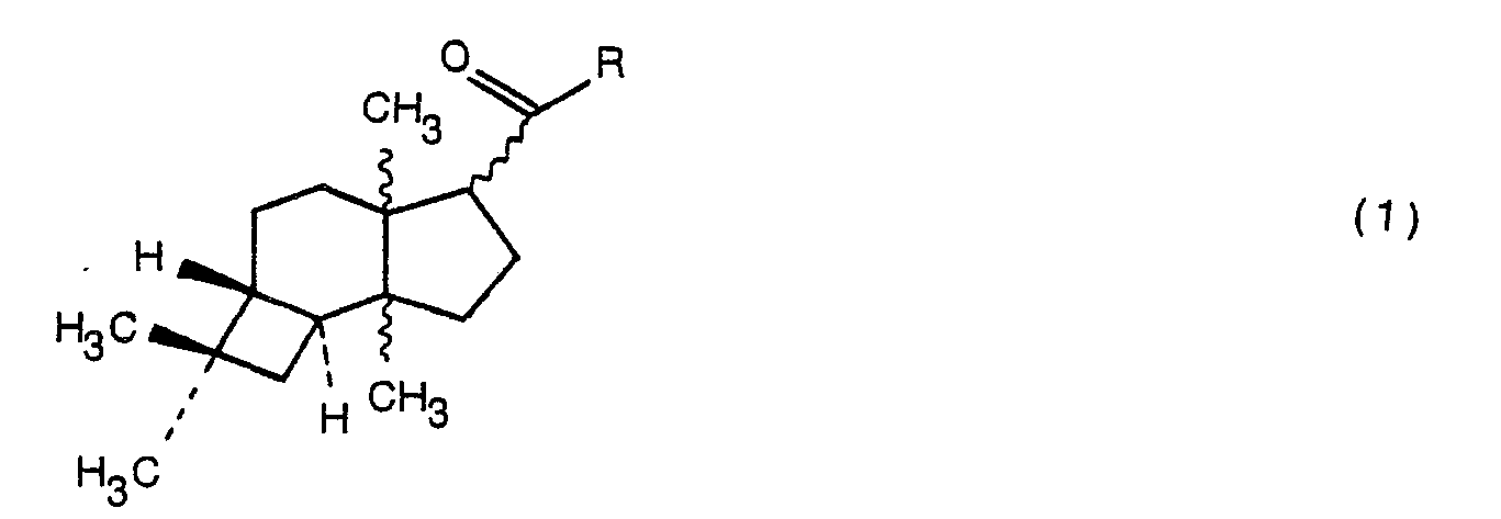 Figure imgb0010