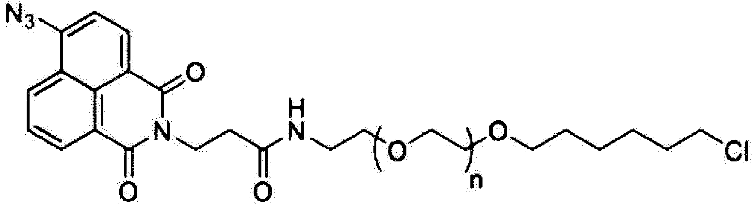 Figure imgb0004