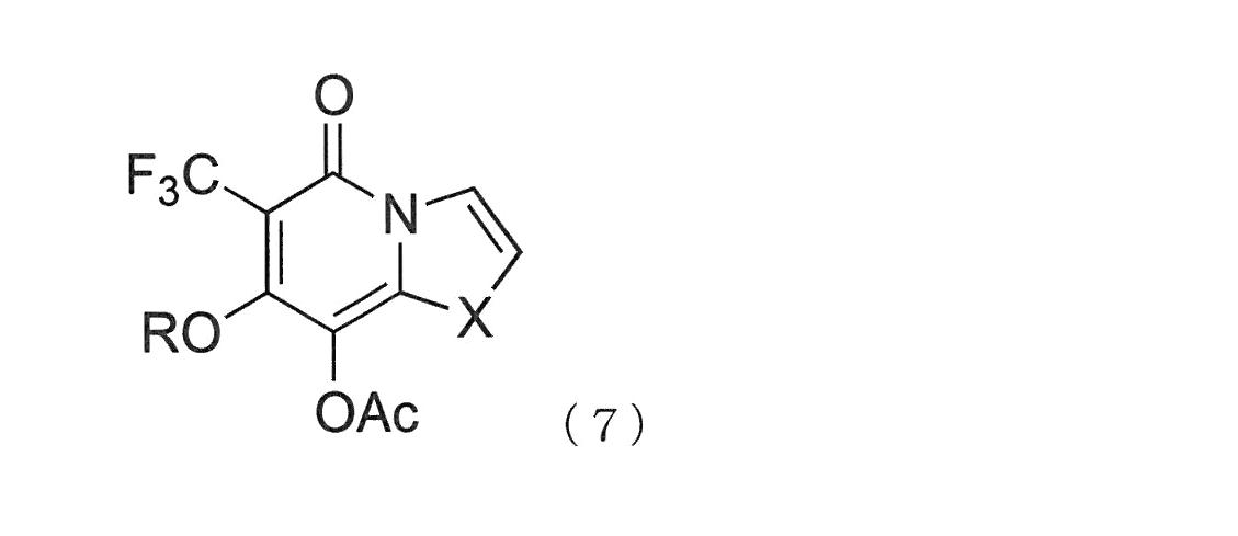 Figure JPOXMLDOC01-appb-C000005
